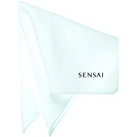 Los mejores  - Kanebo Sensai Sponge Chief Esponja